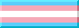 Trans flag badge